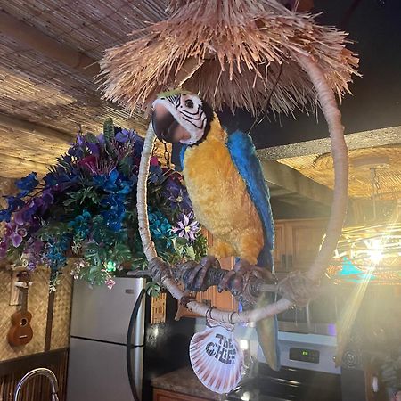 The Kondo Tiki Tampa Exteriér fotografie
