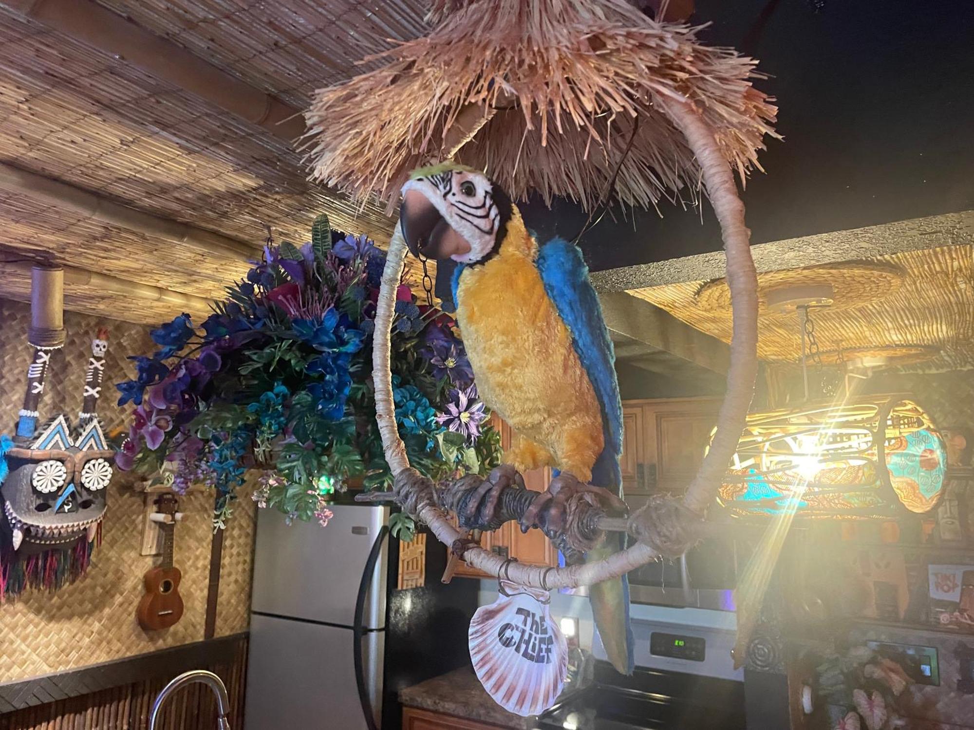 The Kondo Tiki Tampa Exteriér fotografie